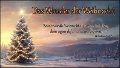Weihnachtswunder